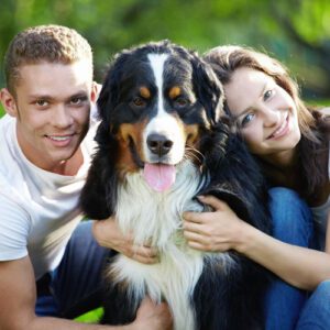 Pet Custody and consideration of Pets in Family Court Proceedings